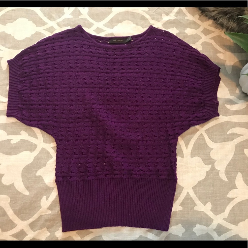 The Limited Knit Sweater